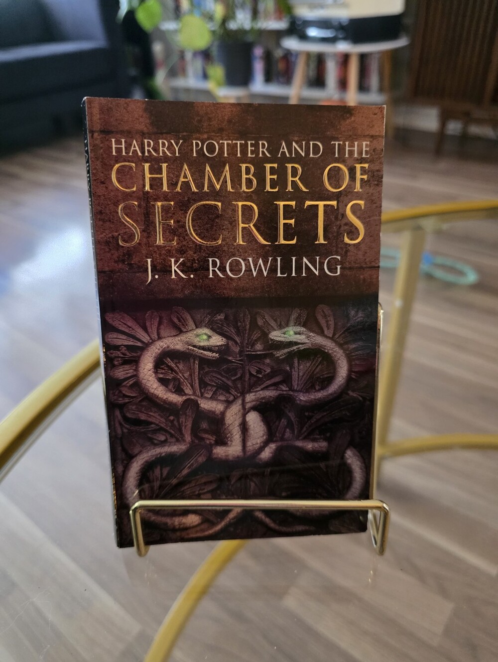 Harry Potter and the Chamber of Secrets Wall - Paperback Book